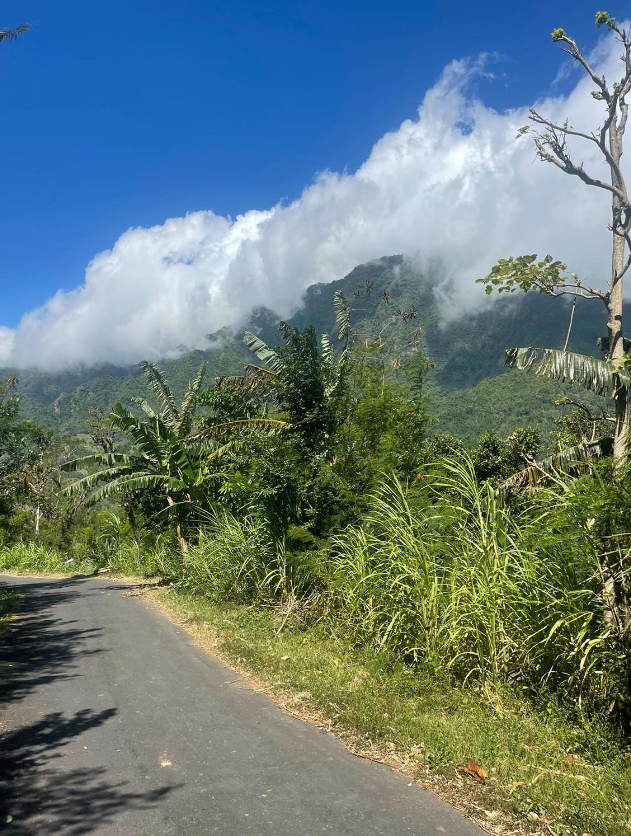 Вилла Tropical Habitat Bali Амед Экстерьер фото