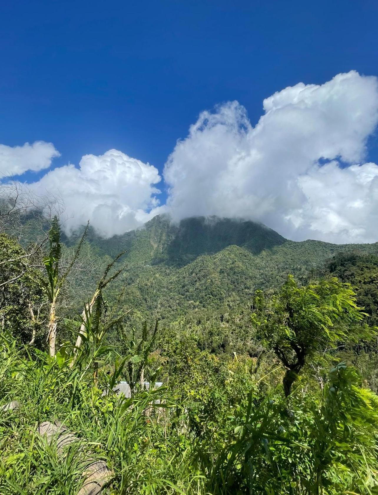 Вилла Tropical Habitat Bali Амед Экстерьер фото