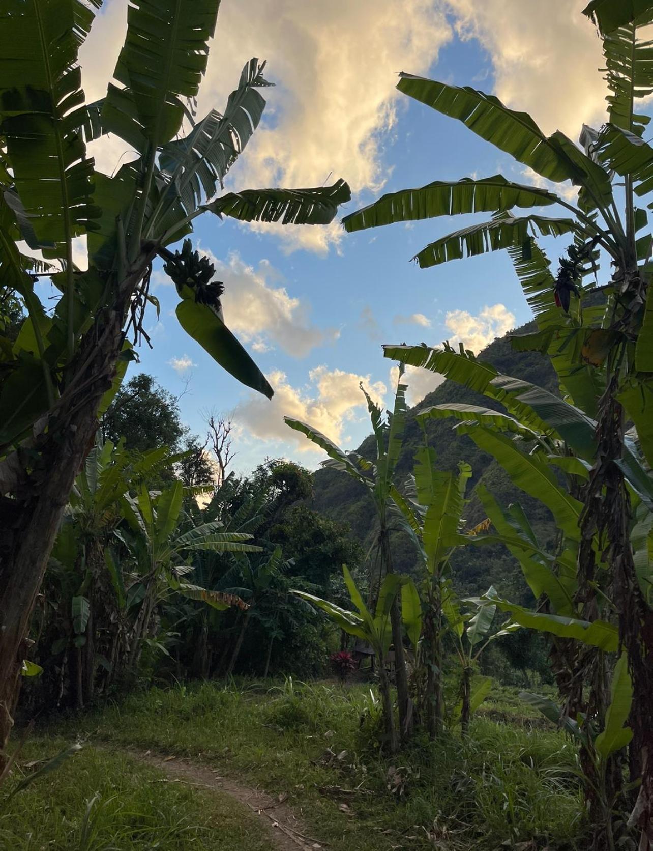 Вилла Tropical Habitat Bali Амед Экстерьер фото